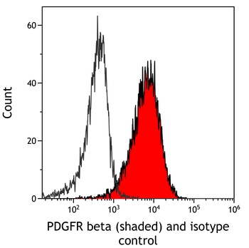 Rabbit anti-PDGFR beta Recombinant Monoclonal Antibody