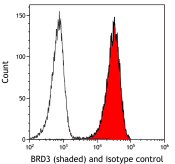 Rabbit BRD3 Recombinant Monoclonal Antibody