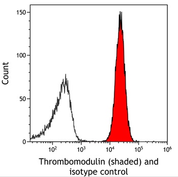 Rabbit anti-Thrombomodulin Recombinant Monoclonal Antibody