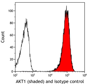 Rabbit AKT1 Recombinant Monoclonal Antibody