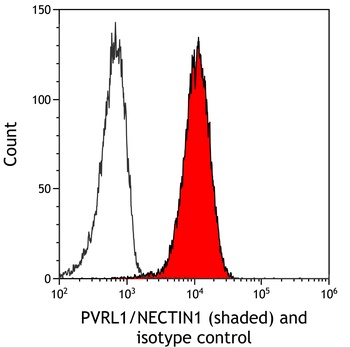 Rabbit anti-PVRL1/NECTIN1 Recombinant Monoclonal Antibody