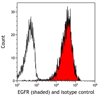 Rabbit anti-EGFR Recombinant Monoclonal Antibody