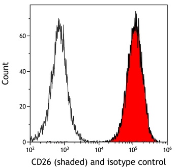 Rabbit DPP4/CD26 Recombinant Monoclonal Antibody