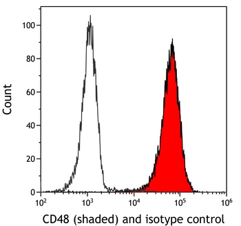 Rabbit CD48 Recombinant Monoclonal Antibody