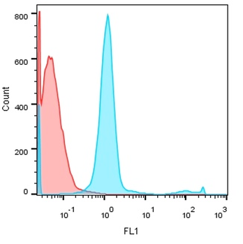 Pan-Cytokeratin, Pan-CK Antibody