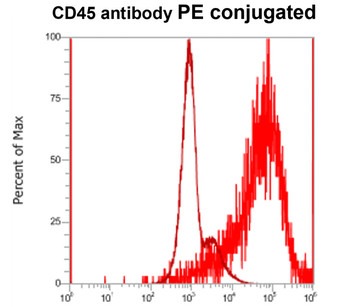 CD45 (Intracellular) Antibody