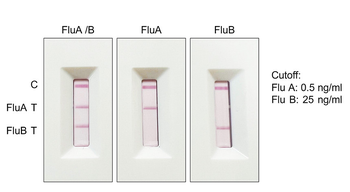 Influenza A Virus Nucleoprotein, Capture antibody [BS771]