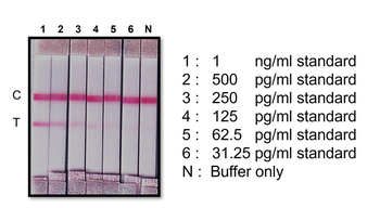 SARS-CoV-2 nucleocapsid protein, Capture antibody [BS41]
