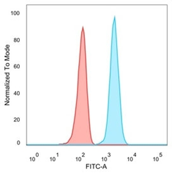 STAT5A Antibody