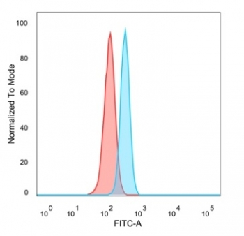 IRF3 Antibody / Interferon regulatory factor 3
