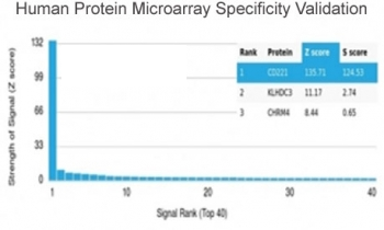 IGF1R Antibody / Insulin like growth factor 1 receptor