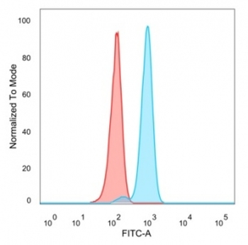 IRF3 Antibody / Interferon regulatory factor 3