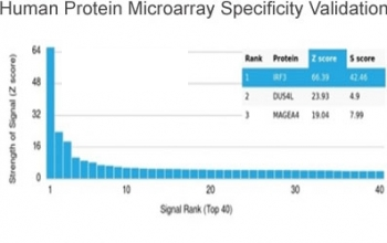 IRF3 Antibody / Interferon regulatory factor 3