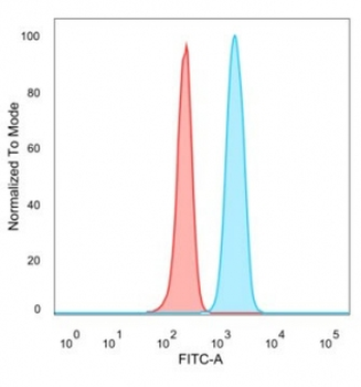 JARID1C Antibody / KDM5C / SMCX