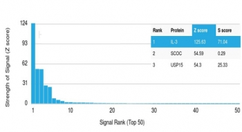 IL-3 Antibody / Interleukin 3