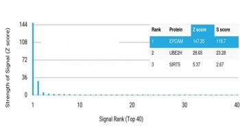 EpCAM Antibody