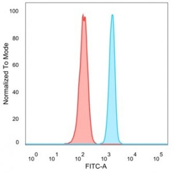 Upstream stimulatory factor 2 Antibody / USF2