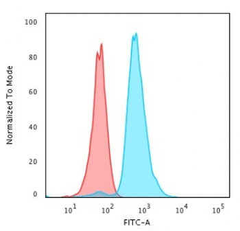 p53 Antibody / TP53
