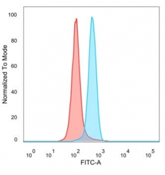 SNW1 Antibody / NCoA-62 / SKIP