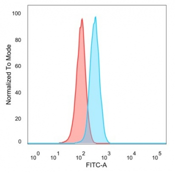 Y-box-binding protein 3 Antibody / YBX3