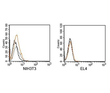 Rabbit Isotype Control Polyclonal Antibody