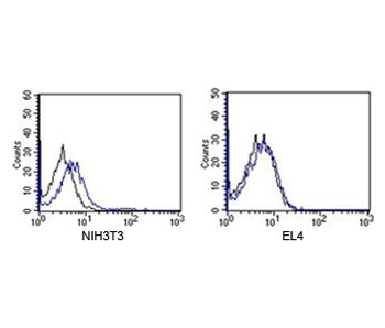 Rabbit IgG Isotype Control Polyclonal Antibody APC Conjugate
