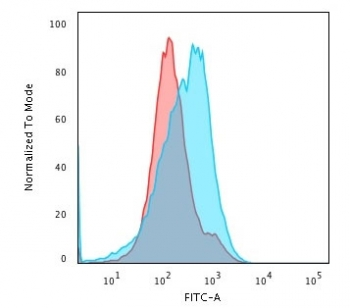 SUMO2/3 Antibody