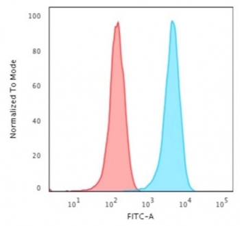 Human Nuclear Antigen Antibody