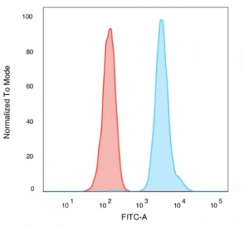 Human Nuclear Antigen Antibody