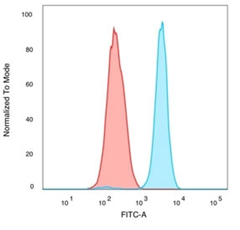 QKI Antibody / Protein Quaking