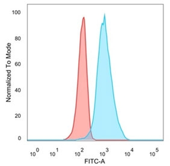 QKI Antibody / Protein Quaking