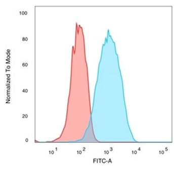 QKI Antibody / Protein Quaking