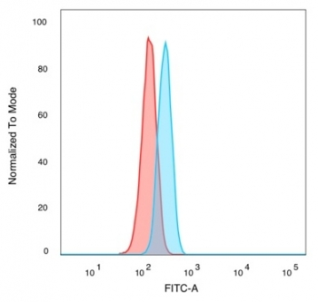 Bcl6 Antibody