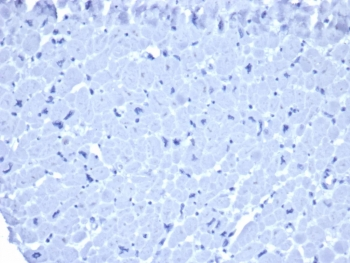 Mouse IgG1 Antibody / Isotype Control for Mouse