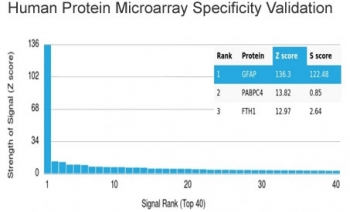 Glial Fibrillary Acidic Protein Antibody / GFAP