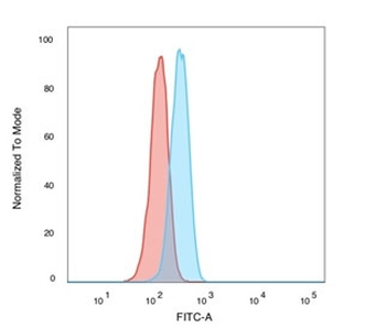 POLE3 Antibody / CHRAC17