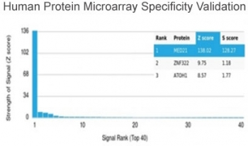MED21 Antibody / SRB7
