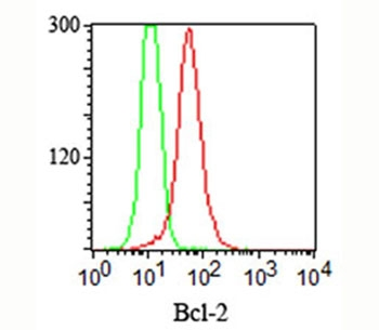 Bcl-2 Antibody