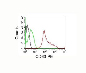CD63 Antibody / LAMP-3