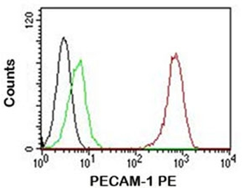PECAM-1 Antibody / CD31
