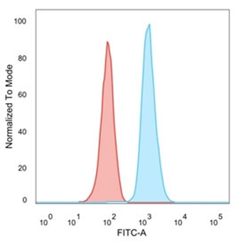 Human Nuclear Antigen Antibody