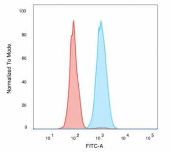 Human Nuclear Antigen Antibody