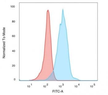 Human Nuclear Antigen Antibody