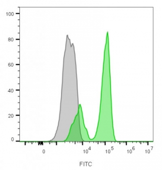 CD3 Antibody / CD3e