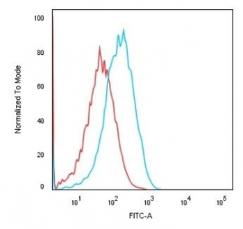 Cadherin 16 Antibody