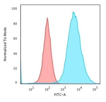 Cytokeratin 19 Antibody