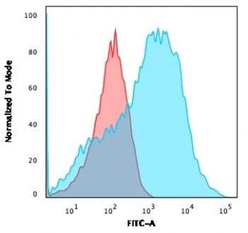 NF-H Antibody (phospho)