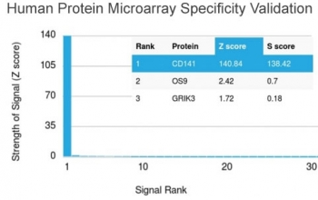 Thrombomodulin Antibody / CD141