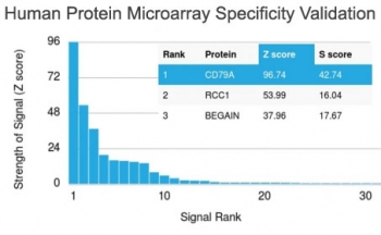 Recombinant CD79a Antibody