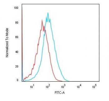Recombinant Cadherin 16 Antibody